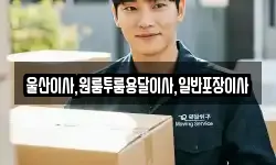 울산이사,원룸투룸용달이사,일반포장이사