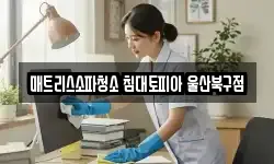매트리스소파청소 침대토피아 울산북구점