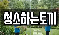 청소하는토끼