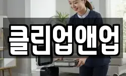 클린업앤업