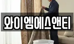 와이엠에스앤티