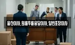 울산이사,원룸투룸용달이사,일반포장이사