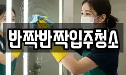반짝반짝입주청소