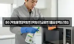 하수구막힘세면대막힘변기막힘수전교체변기뚫음외벽유리청소