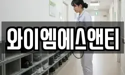 와이엠에스앤티