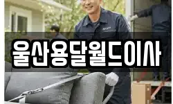 울산용달월드이사