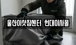 울산 북구 신천동 이사,용달이사,포장이사,원룸이사,보관이사