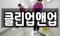 클린업앤업