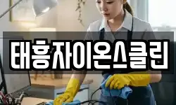 태흥자이온스클린