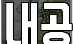 내공