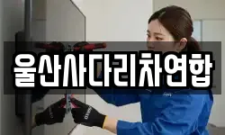 울산사다리차연합