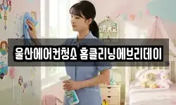 울산에어컨청소 홈클리닝에브리데이