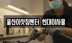 울산이삿짐센터 현대이사몰