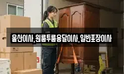 울산이사,원룸투룸용달이사,일반포장이사