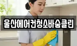 울산에어컨청소바숨클린