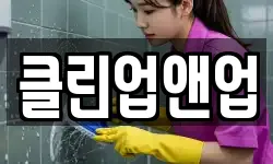 클린업앤업