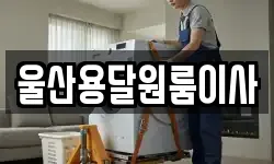 울산용달원룸이사