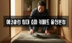 울산 북구 효문동 청소,입주청소,사무실청소,에어컨청소