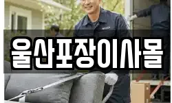 울산포장이사몰
