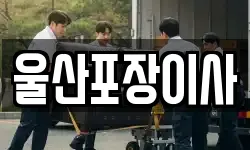 울산포장이사
