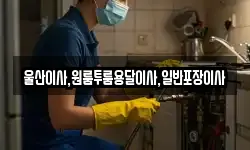 울산이사,원룸투룸용달이사,일반포장이사