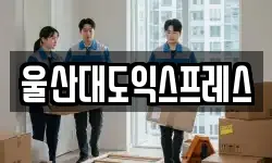 울산대도익스프레스