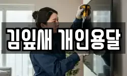 김잎새 개인용달