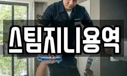 스팀지니용역