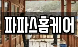 파파스홈케어