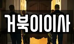 거북이이사