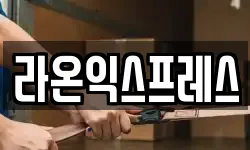 라온익스프레스