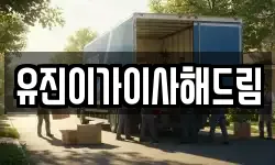 유진이가이사해드림