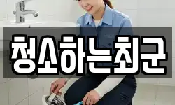 청소하는최군