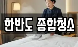 한반도 종합청소