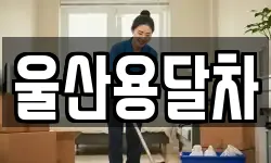 울산용달차