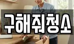 구해줘청소