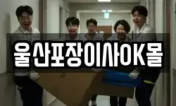 울산포장이사OK몰