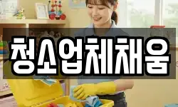 청소업체채움