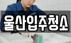 울산입주청소