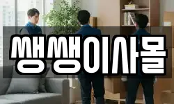 쌩쌩이사몰