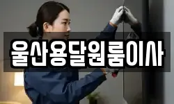 울산용달원룸이사