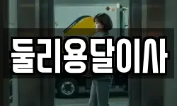 둘리용달이사
