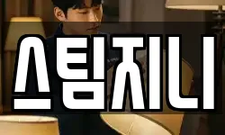 스팀지니