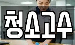 청소고수