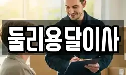 둘리용달이사