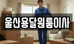 울산용달원룸이사