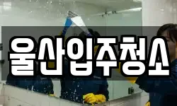 울산입주청소