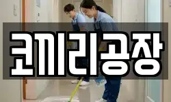 울산 중구 북정동 청소,입주청소,사무실청소,에어컨청소