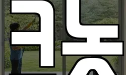 크놋