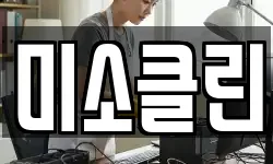 미소클린